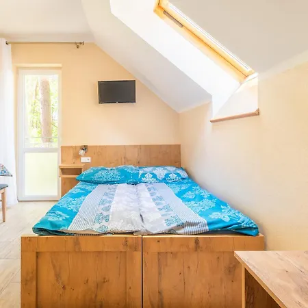 Goscinne Zaczek * デンプキ