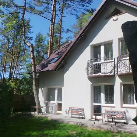 Gościnne żaczek * Dębki