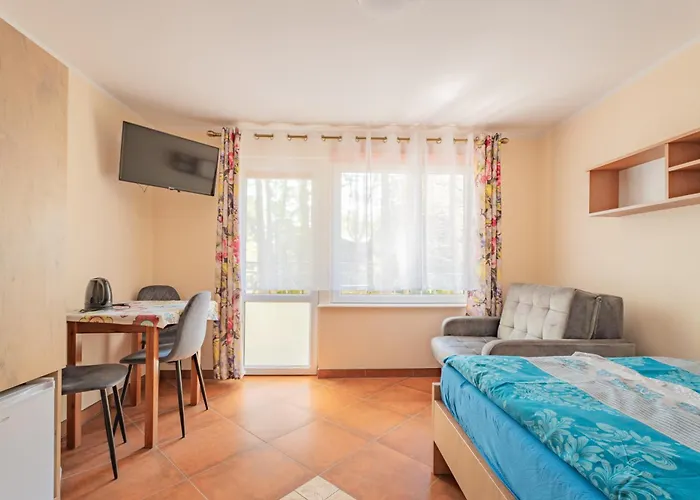 Проживание в семье Goscinne Zaczek